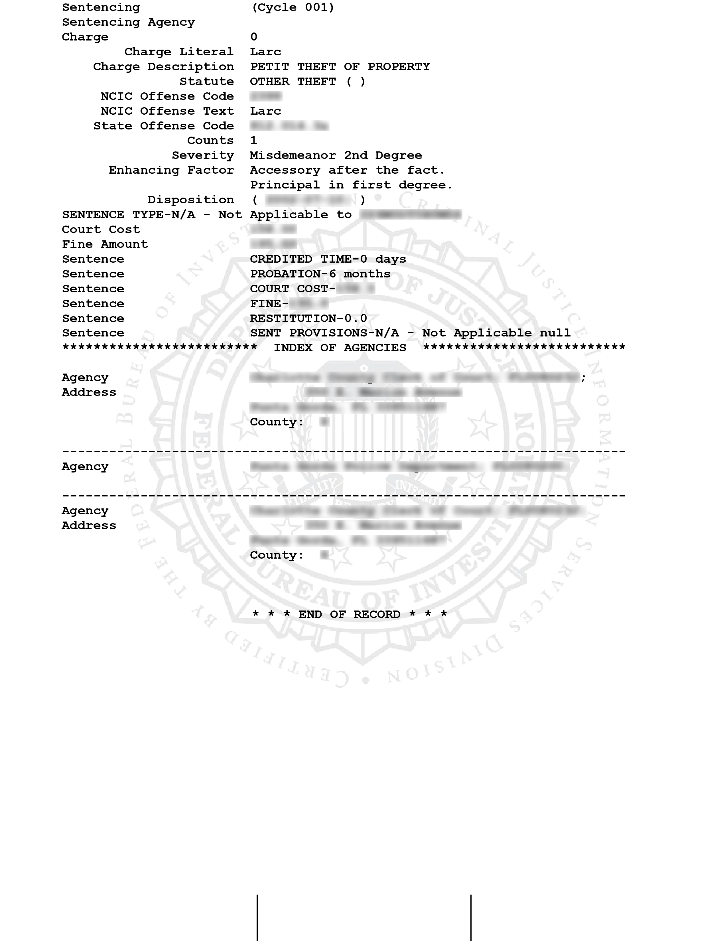 FBI Identity History Summary sample