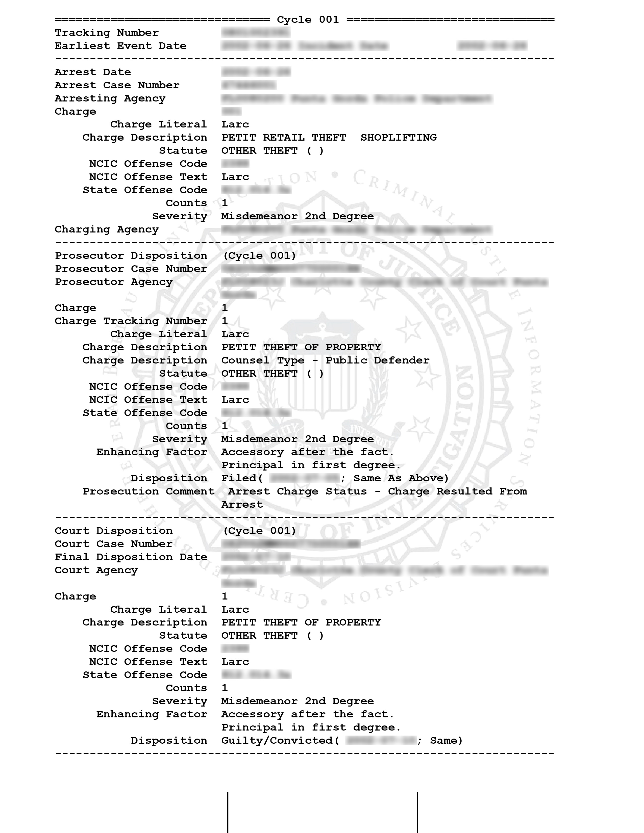 FBI Identity History Summary sample