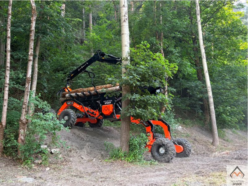 Forst & Holzernte