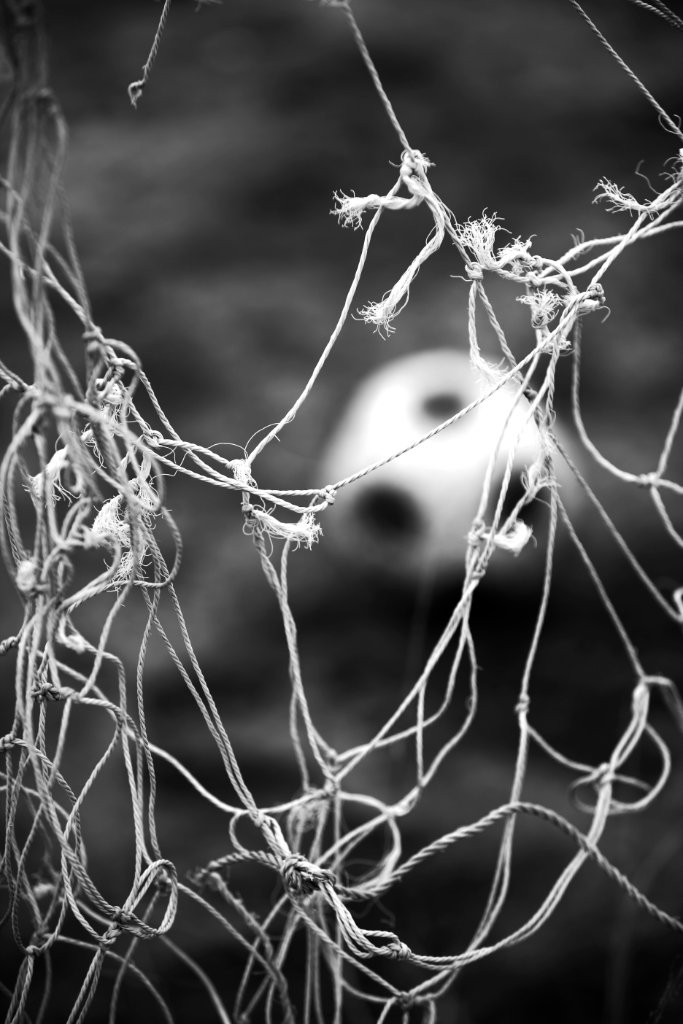 Broken Nets