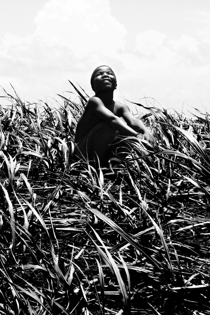 Sugarcane, KZN