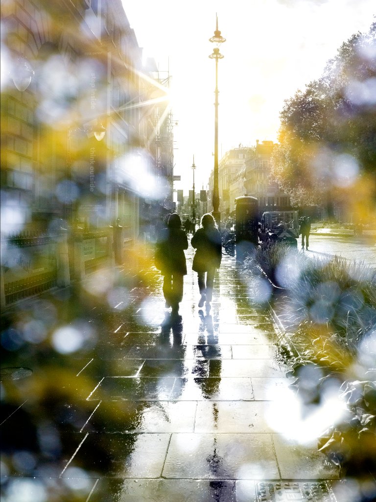 Through the Leaves - New work by Clint Strydom