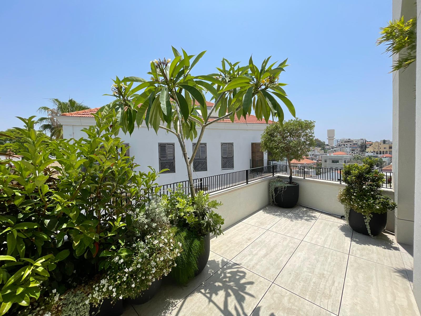 Aerial view of the roof