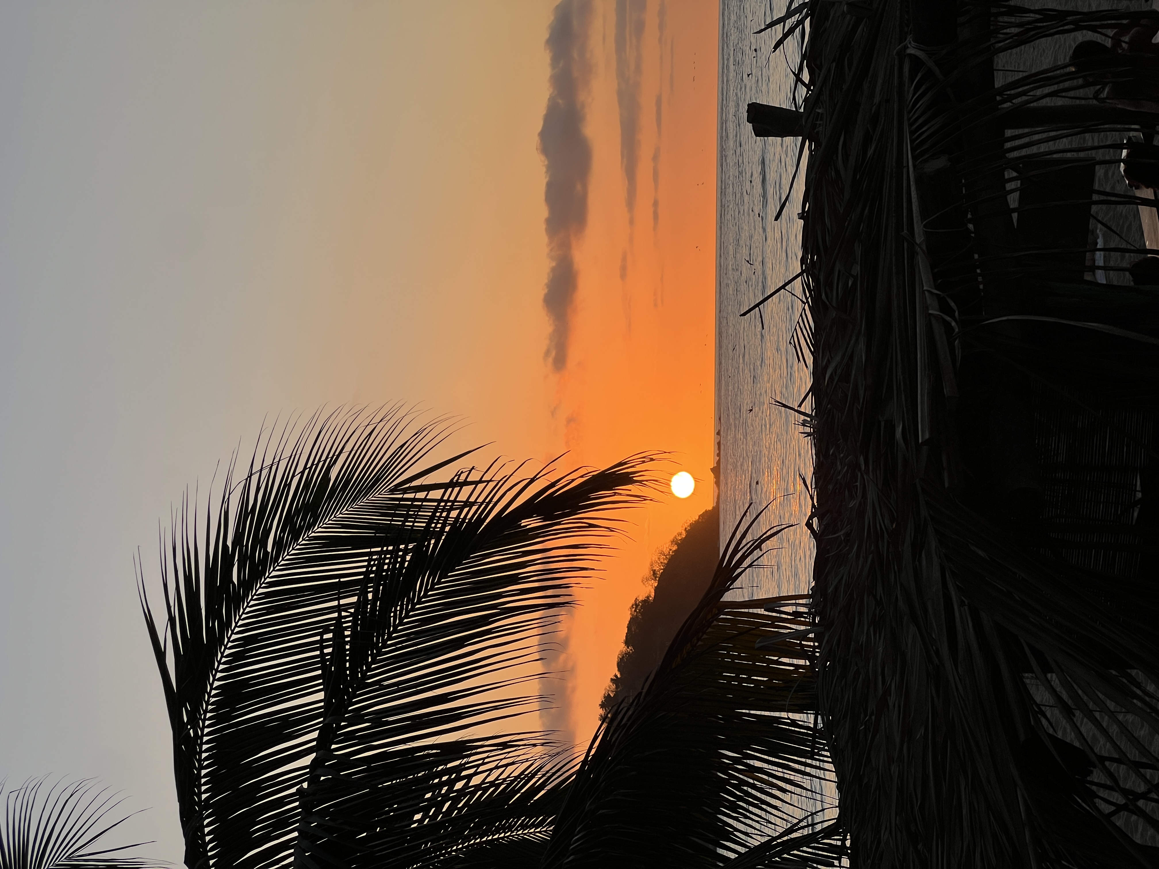 Sunset over Sayulita with palm silhouette