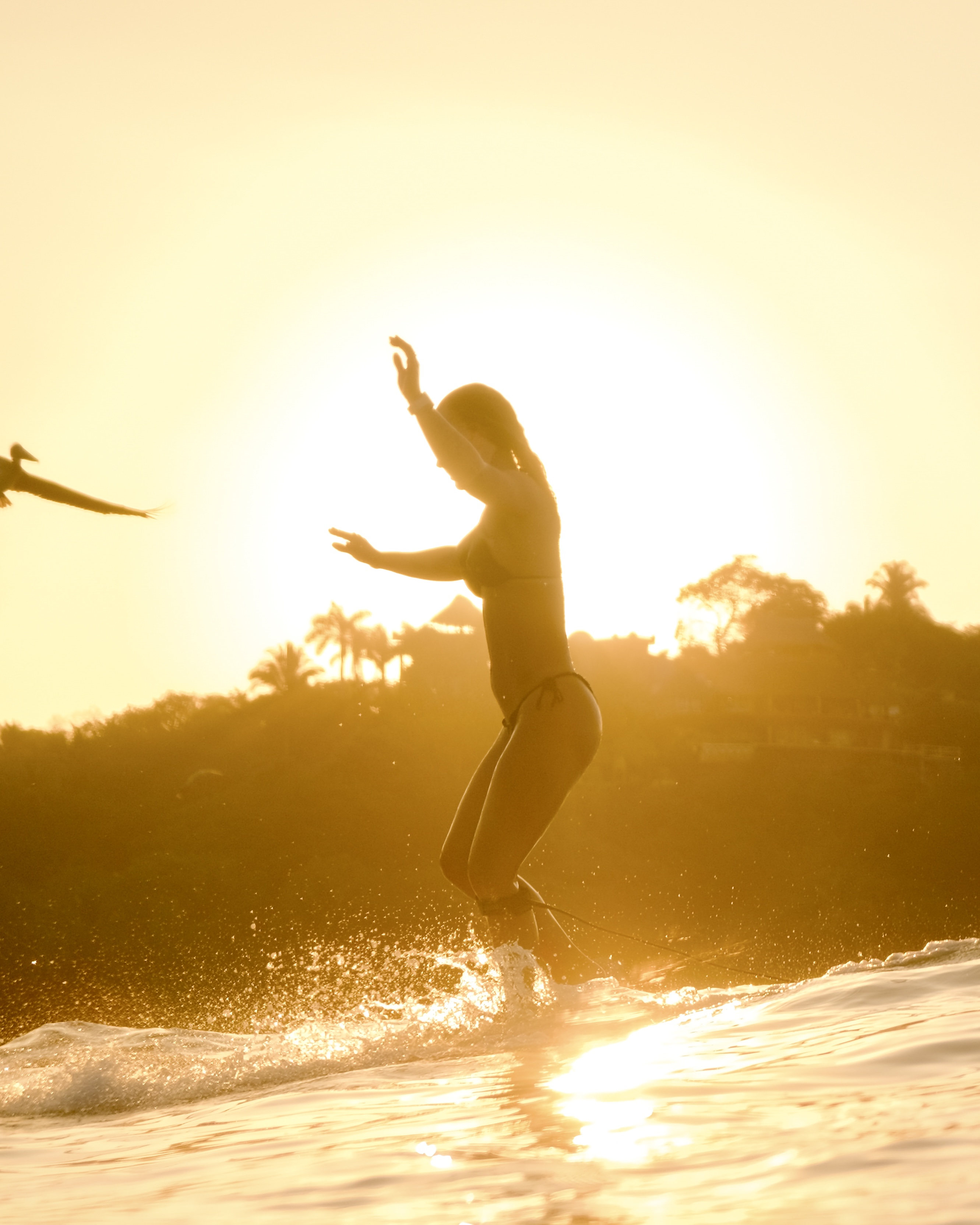 Woman longboard surfing at golden hour