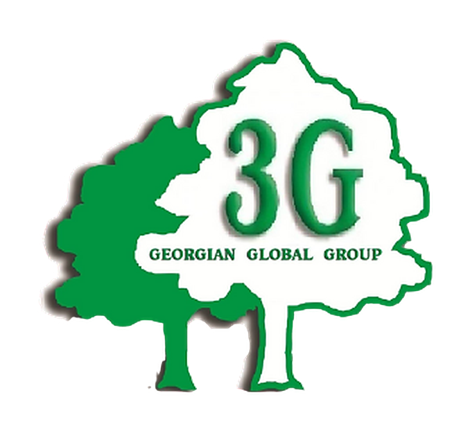 3G · Georgian Global Group