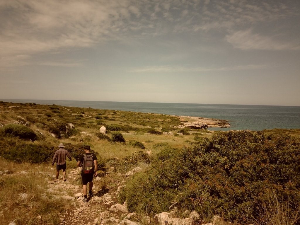 Coastal walk