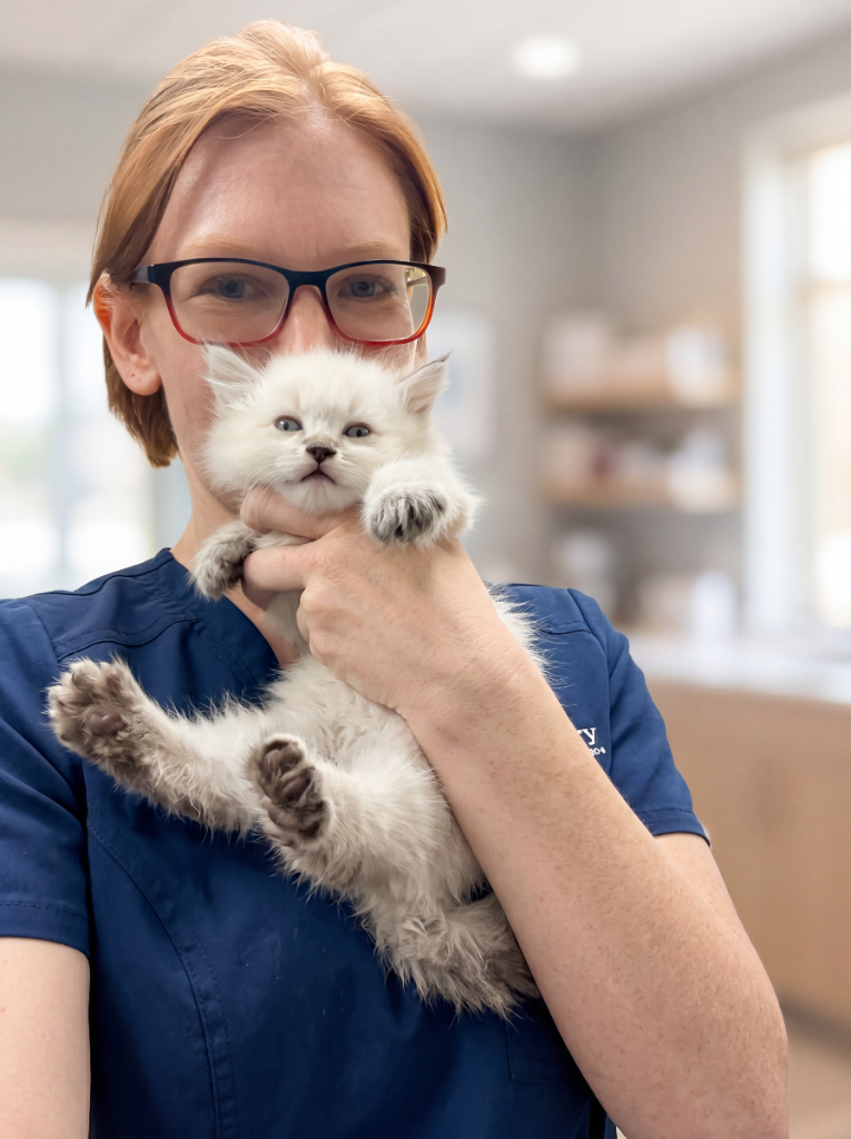 An FTLOP staff member holding a Siamese foster kitten