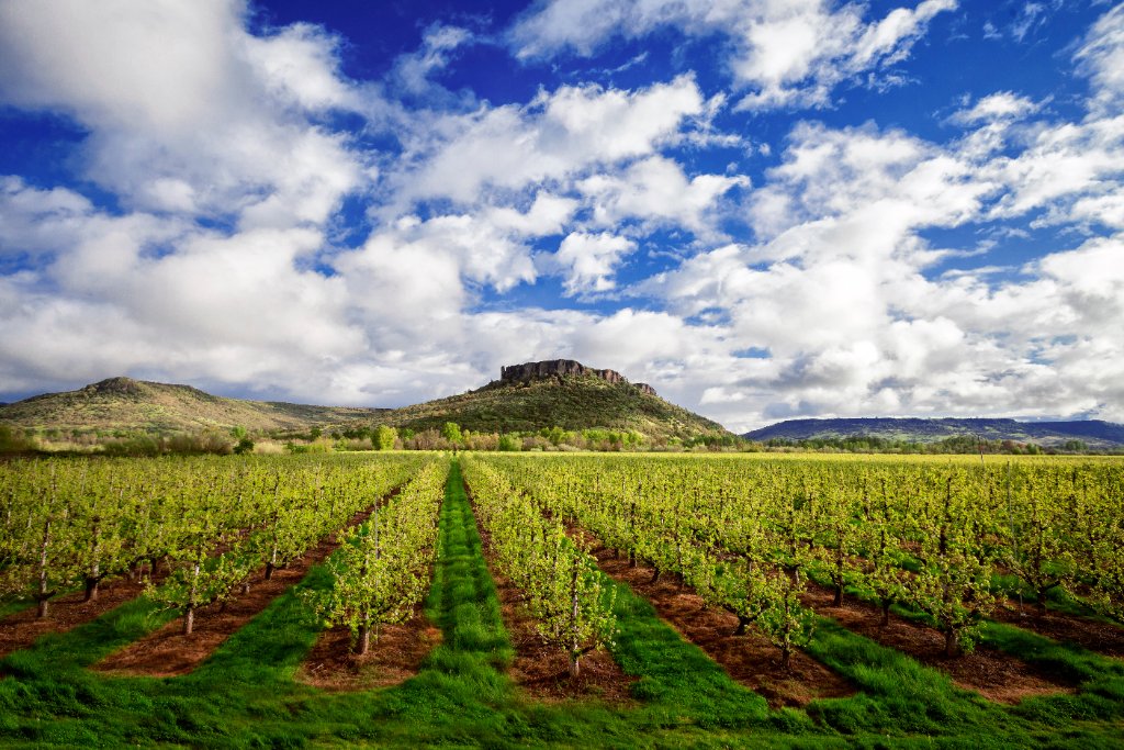 Wine Country