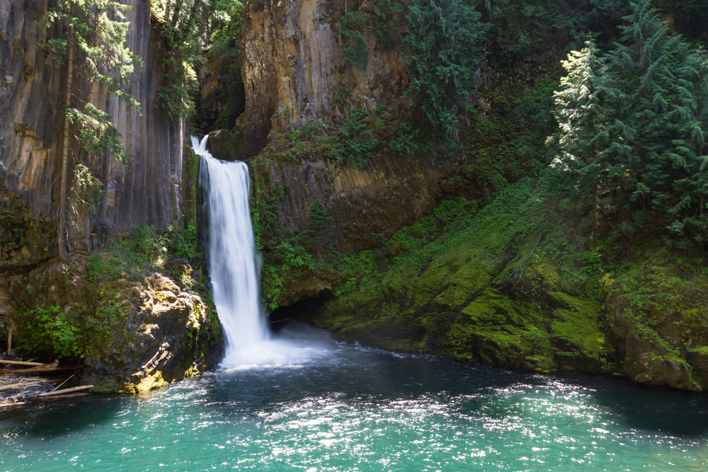 World-Class Fly-Fishing