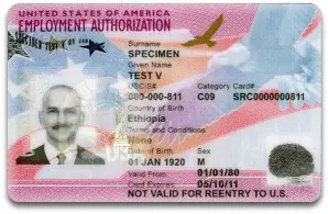 Work Authorization
