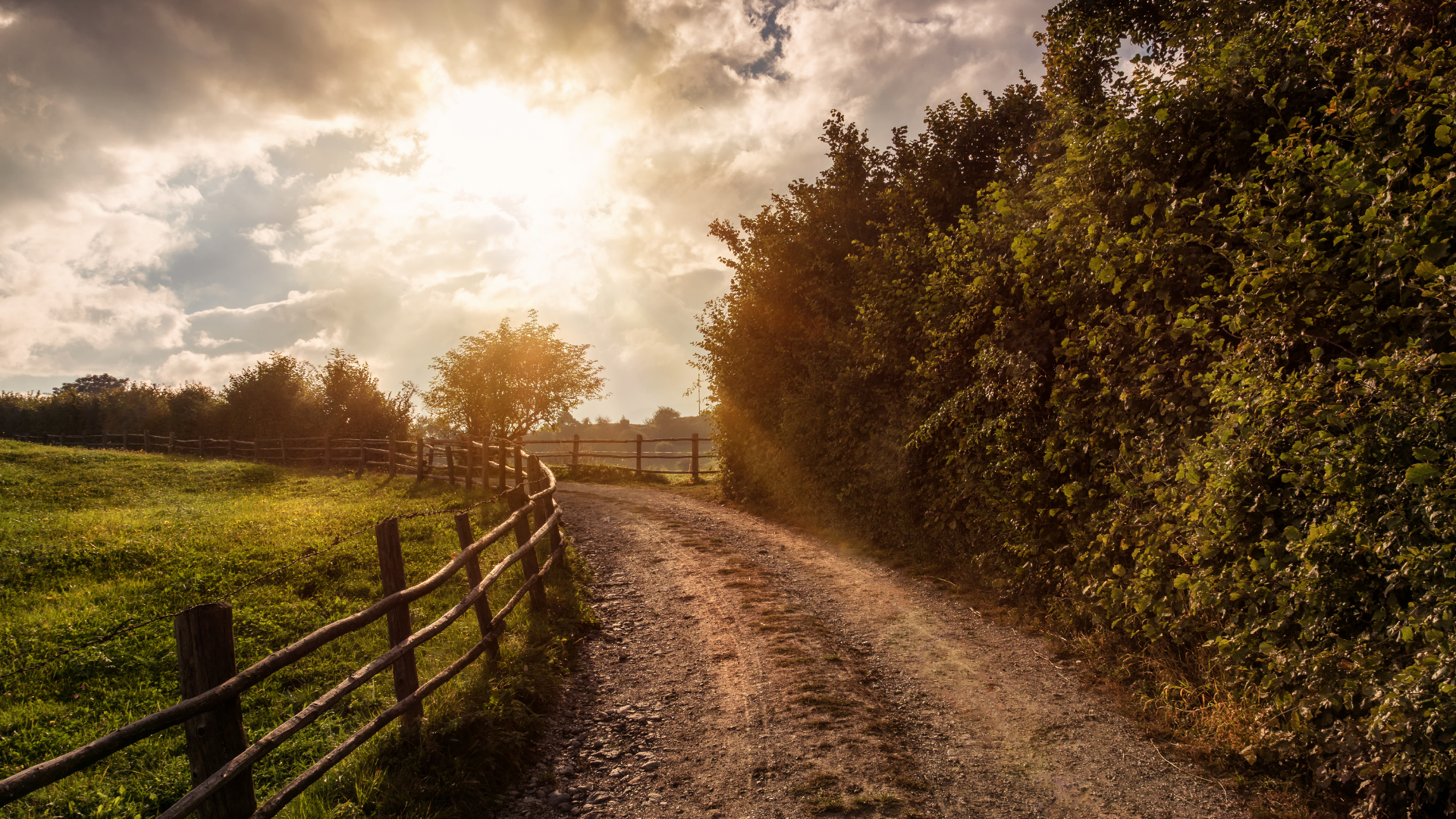 A patient walking — the implementation journey