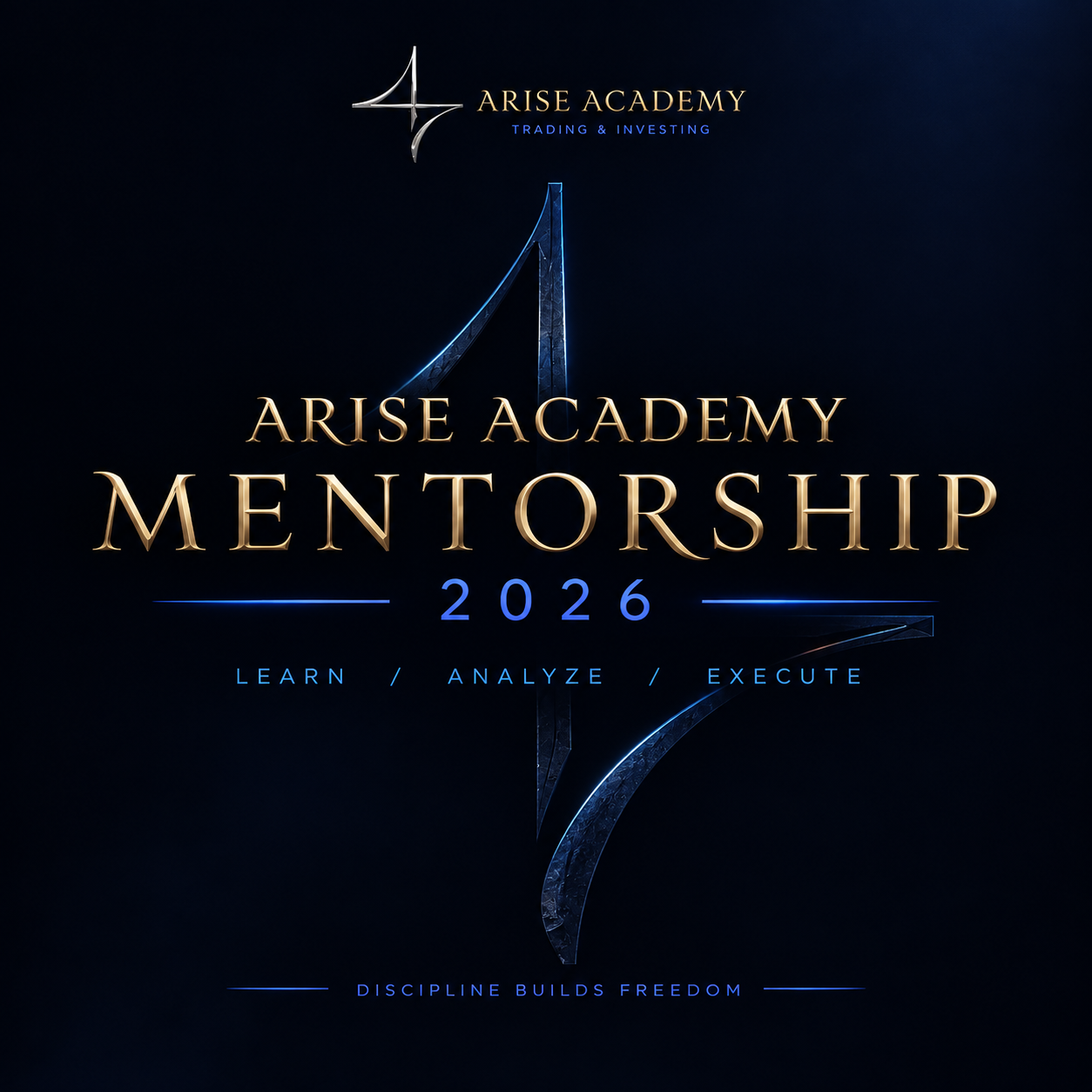 Arise Academy Mentorship 2026