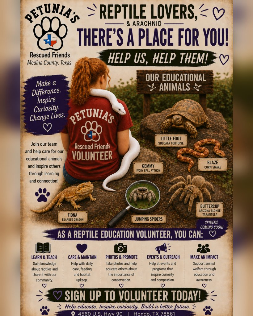 Reptile lovers, there's a place for you flyer