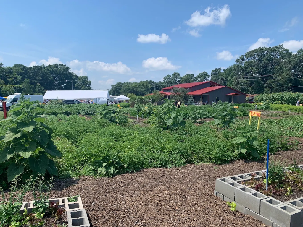 Unity Gardens: a quiet neighbor we're learning from