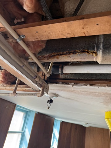 While Val Was in Greece, BJ Built a Bathroom — image 20