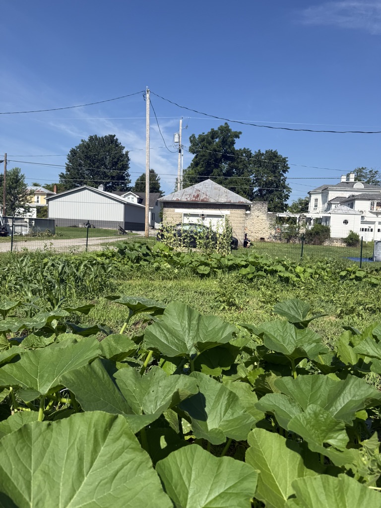 Why Our Garden Looks a Little Wild — image 6
