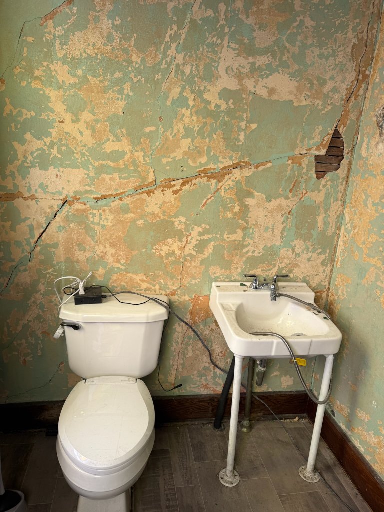While Val Was in Greece, BJ Built a Bathroom — image 4