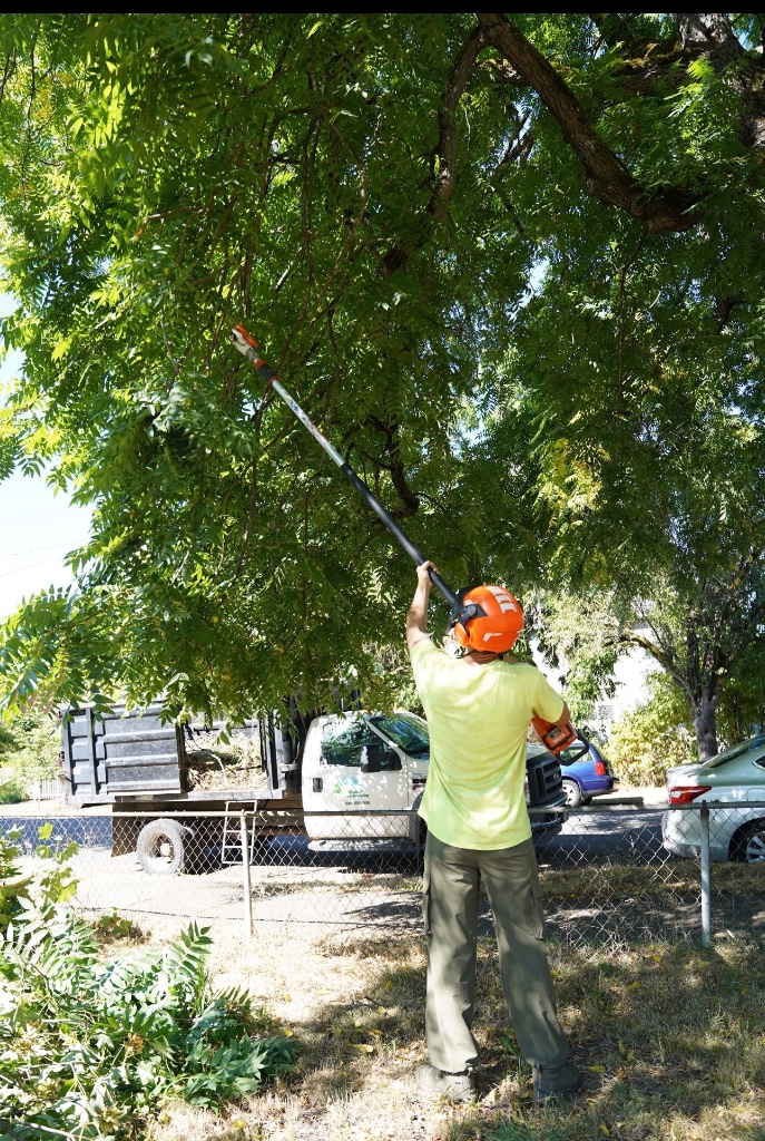 Landscaping services in Gresham, Oregon