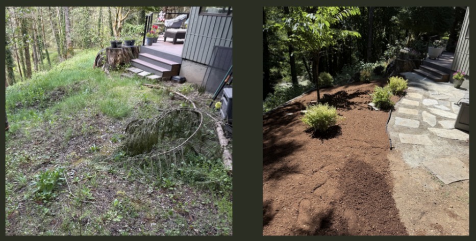 Mulch & Paver Path Landscape