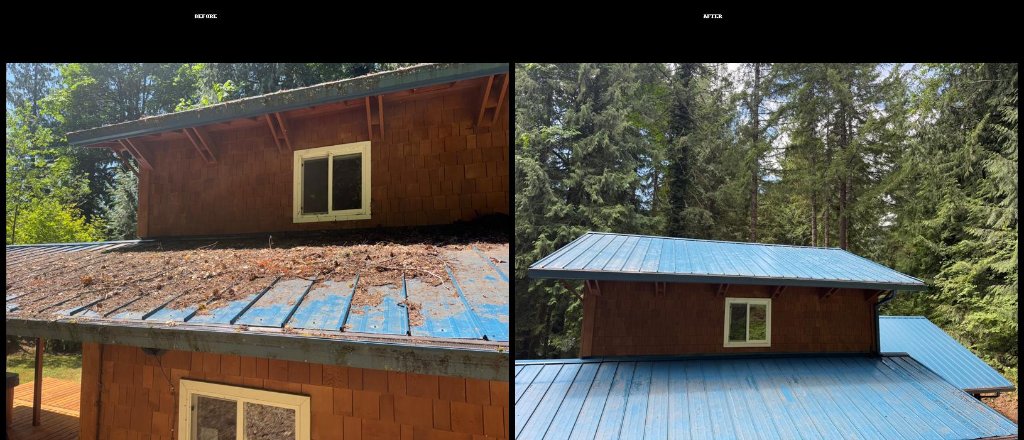 Gutter & Roof Cleanup