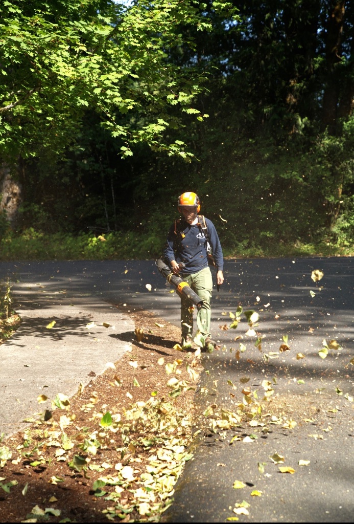 Invasive Plant Removal in Portland, OR by Stephens Landscaping in Portland, OR