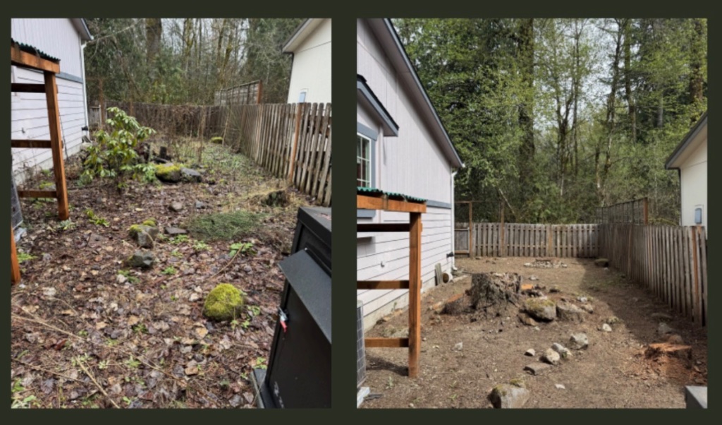 Backyard Debris Cleanup