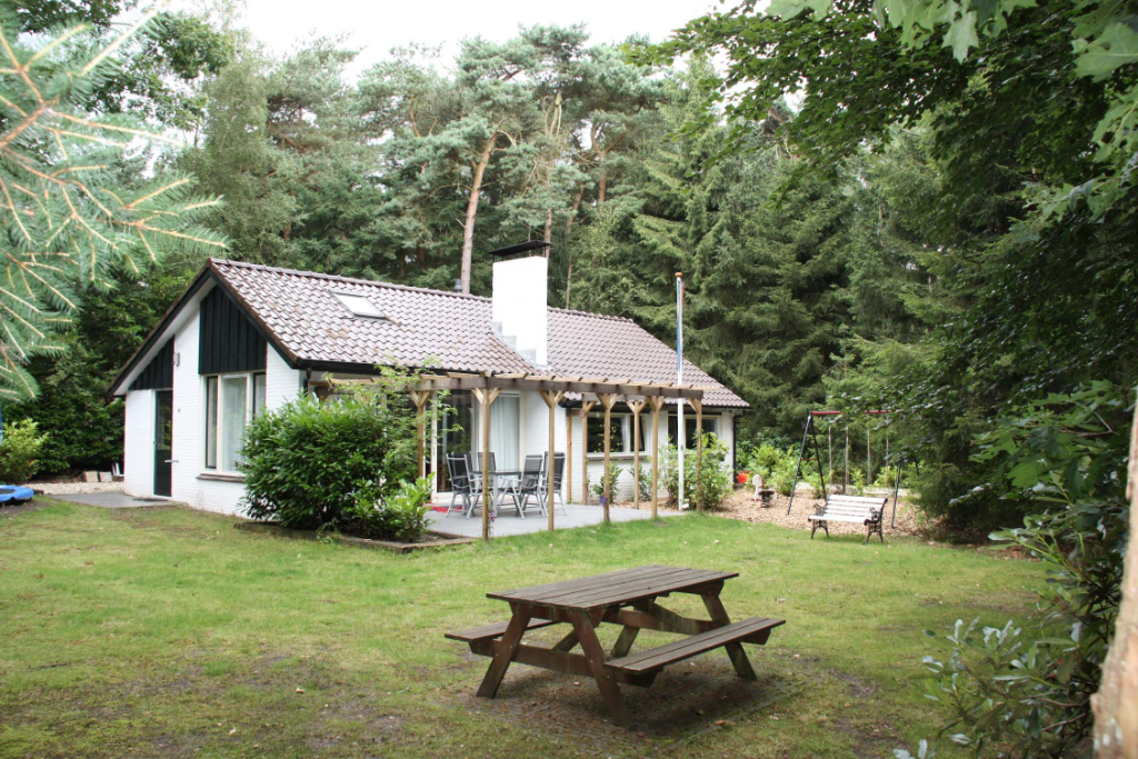 Moderne vakantiewoning omgeven door naaldbomen