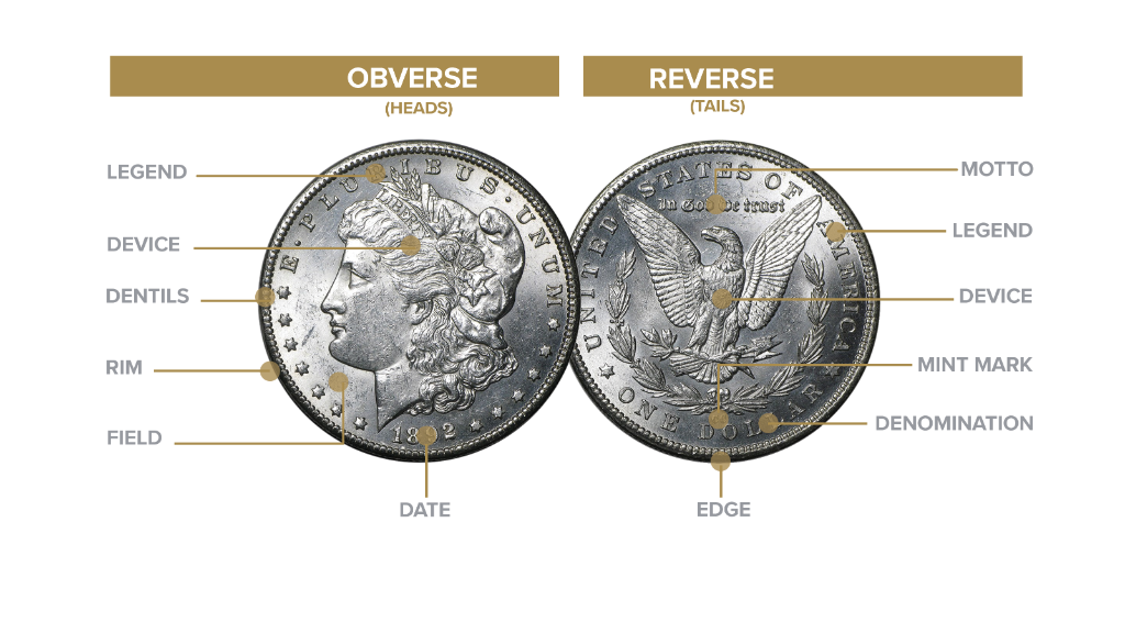 Numismatic terms diagram — Morgan Dollar obverse and reverse with labeled parts