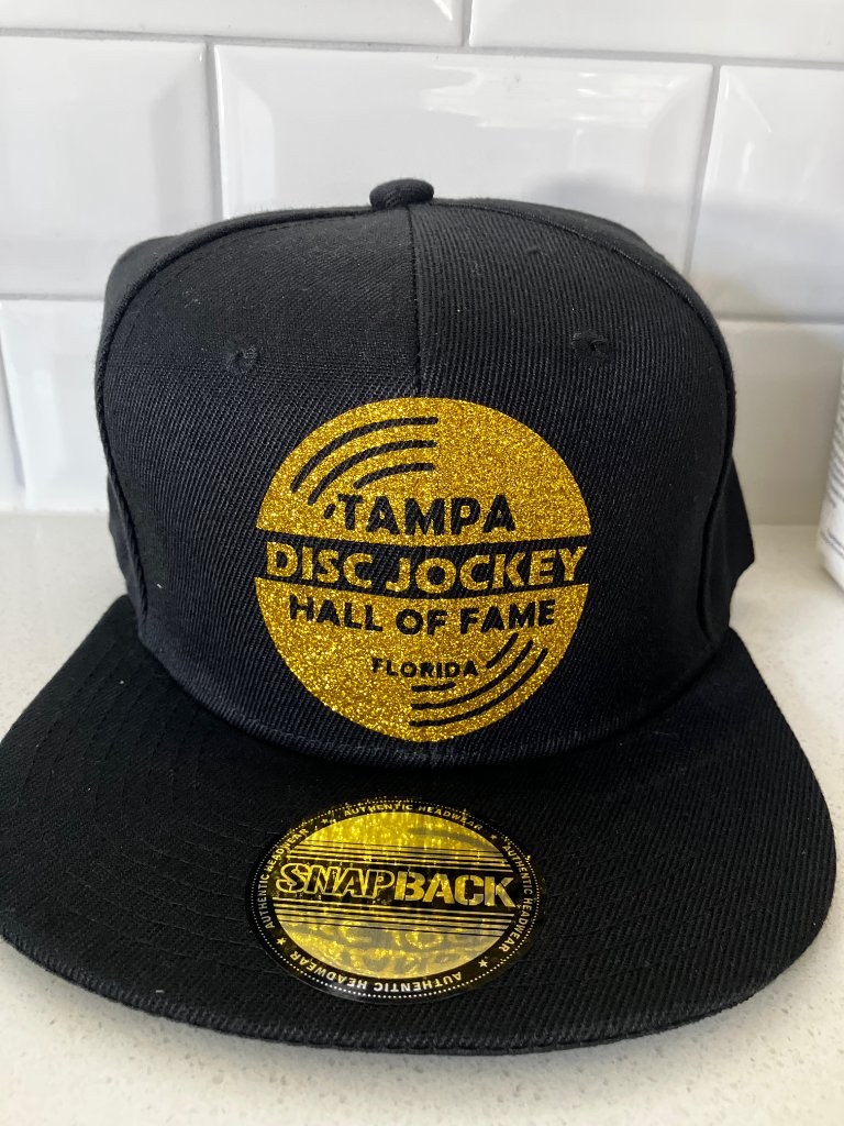 Vinyl Logo Snapback Hat