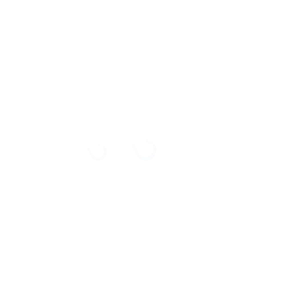 Part Time CEO Council