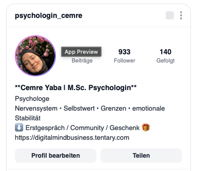 Instagram Profil Vorschau