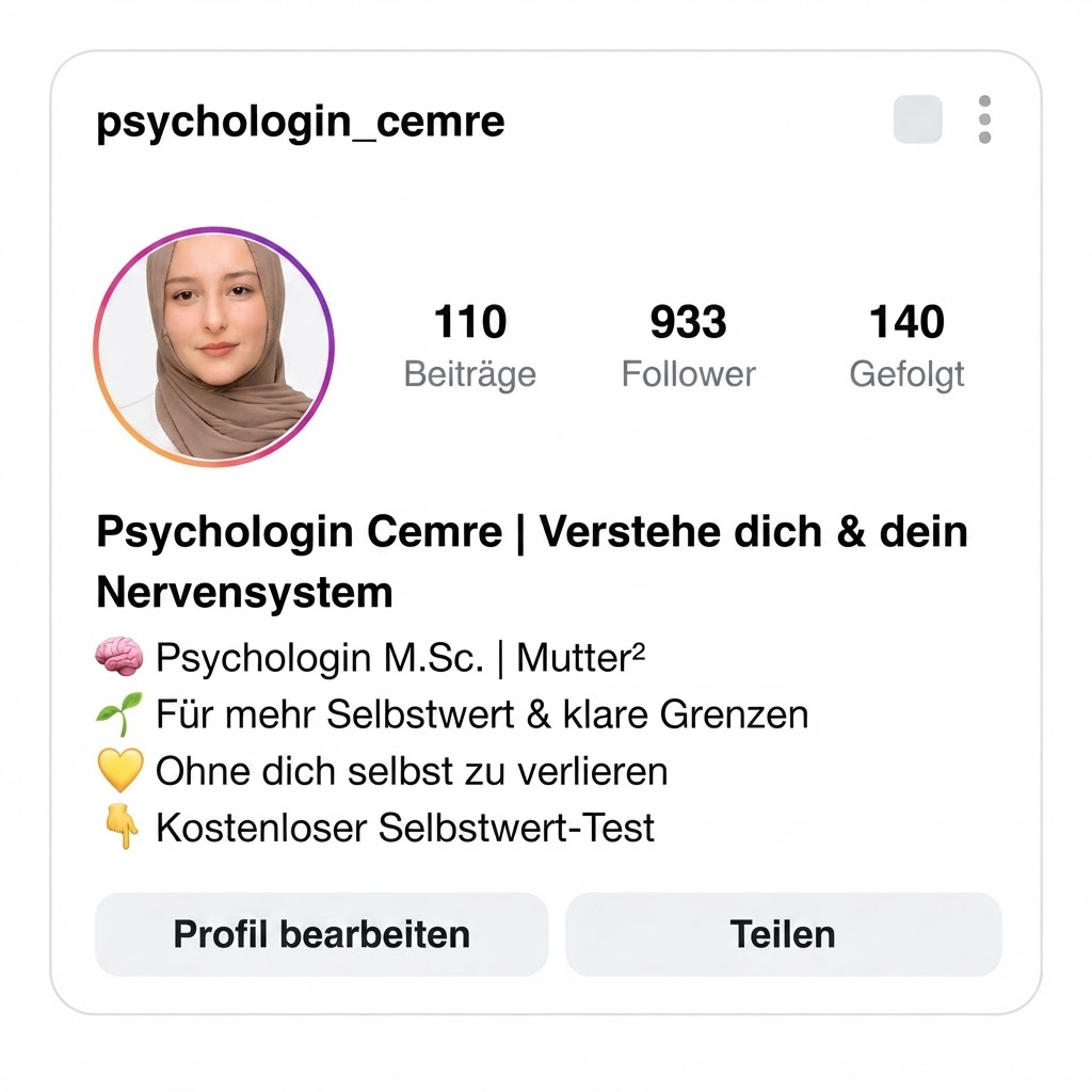 Instagram Profil Vorschau