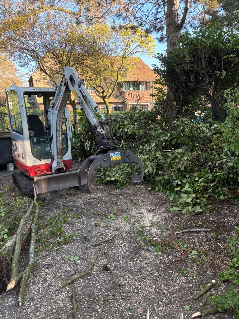 Tuin leegruimen