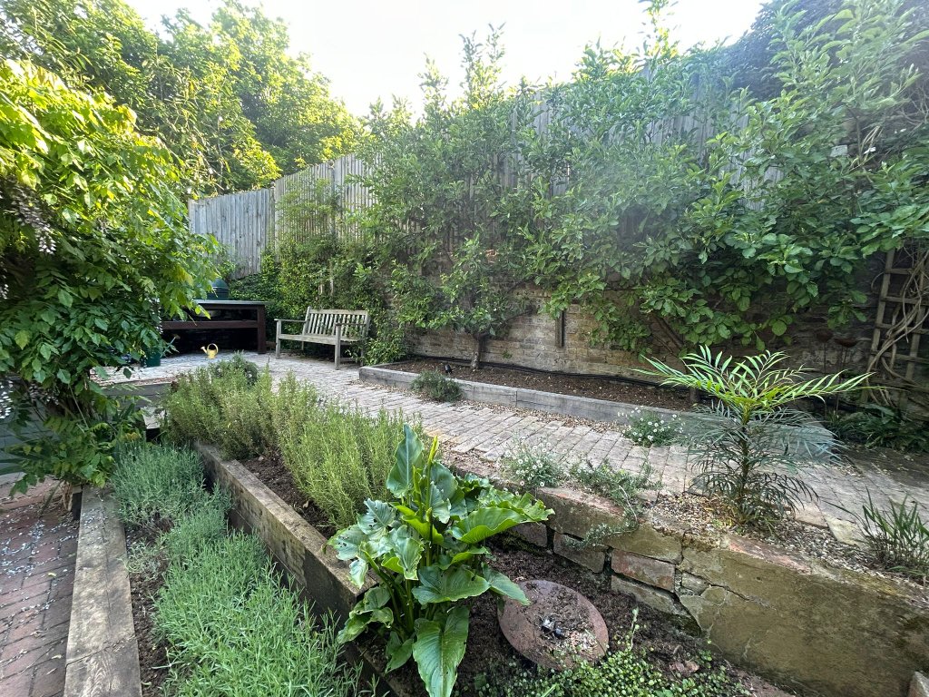 The West London Garden 1