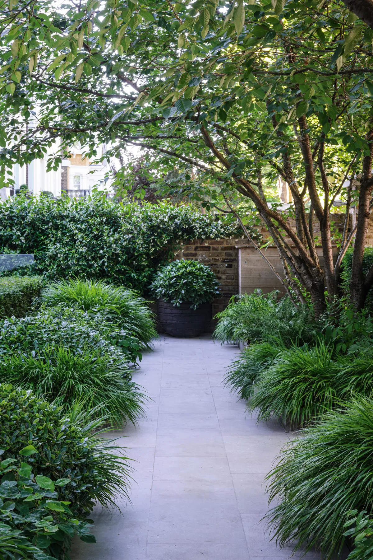 Lush garden pathway beneath mature tree canopy