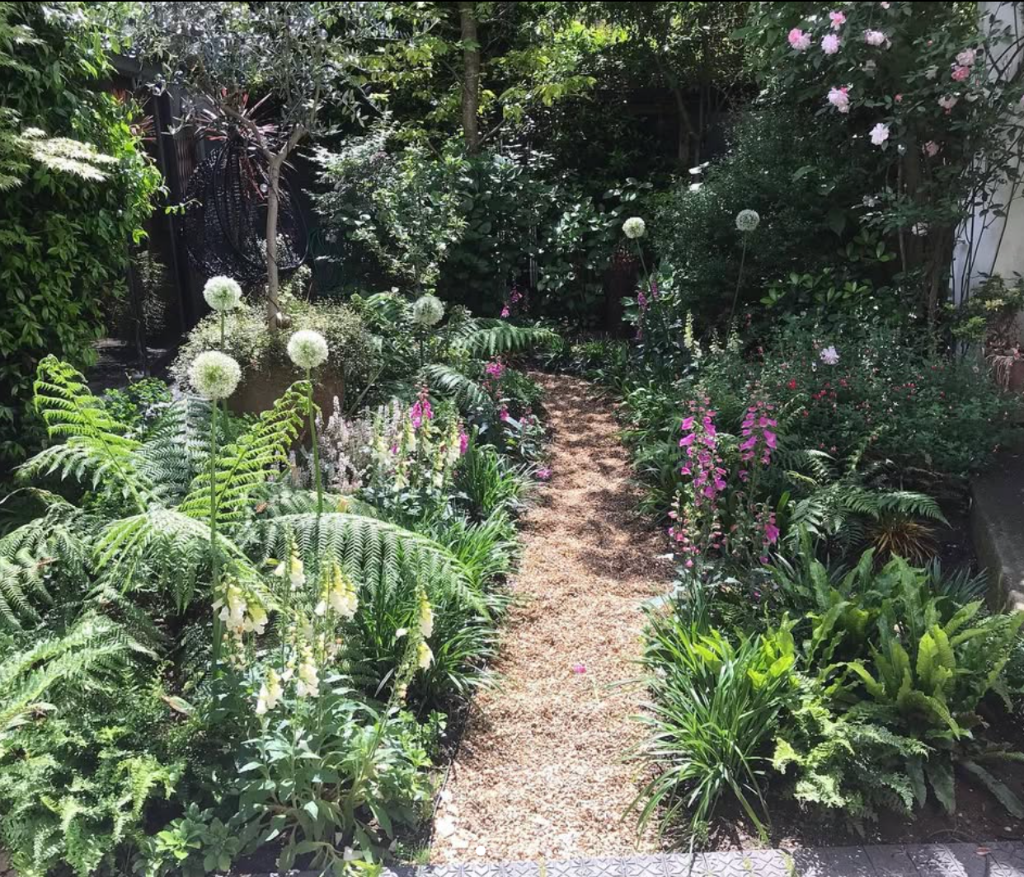 Bespoke garden planting plan