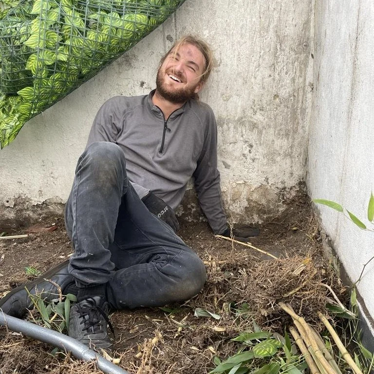 The gardener at work in West London