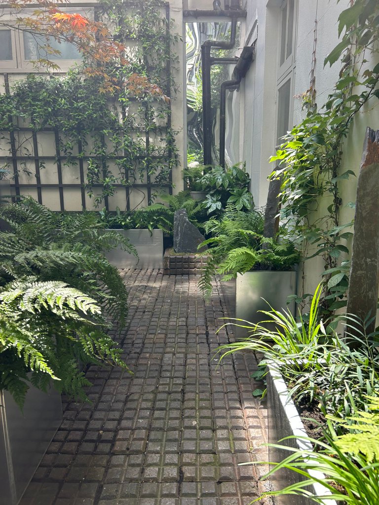 The Shady London Courtyard 1