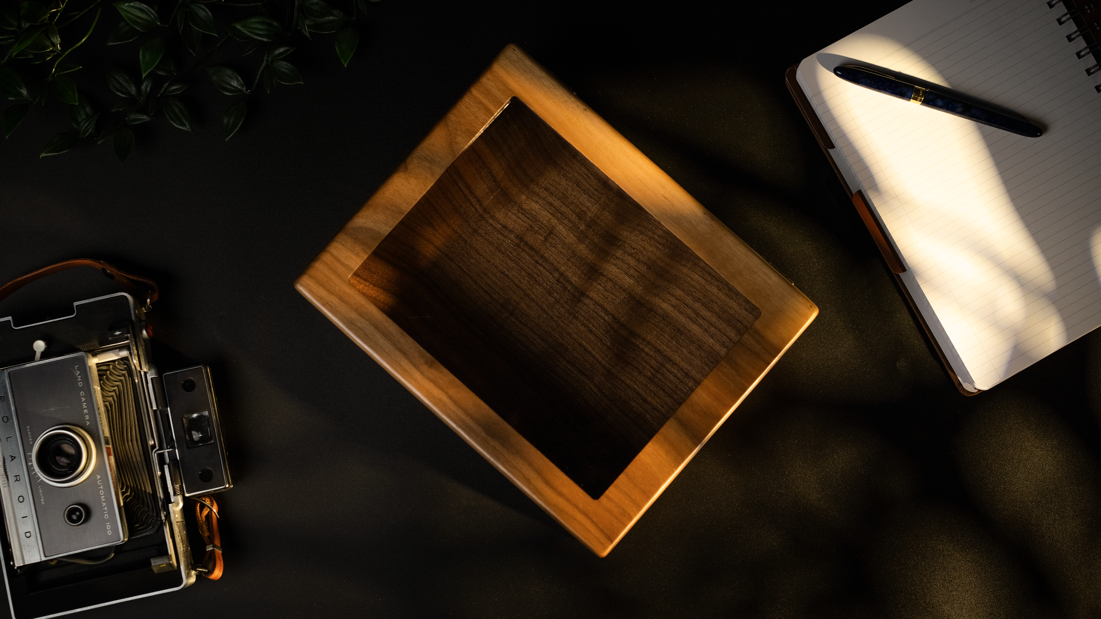 Hinged Acrylic Lid Box — view 5