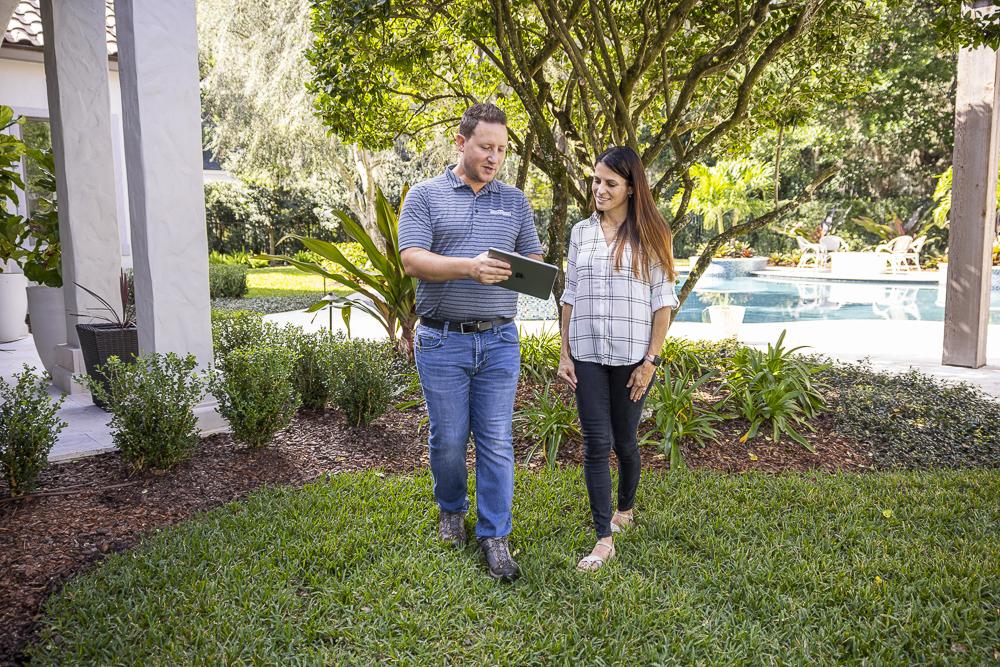 Expert landscape consultation
