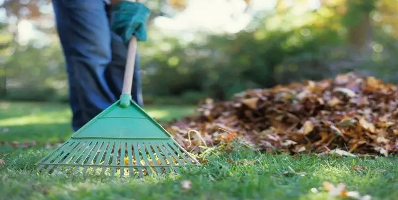Spring & fall cleanup