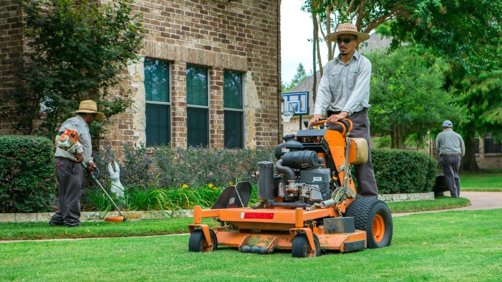 Lawn maintenance