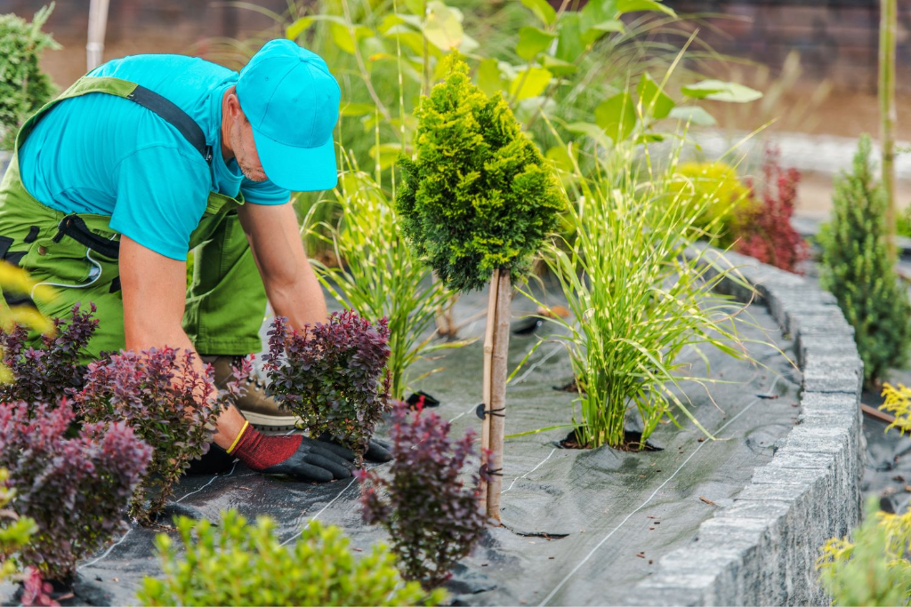 Year-round landscape care