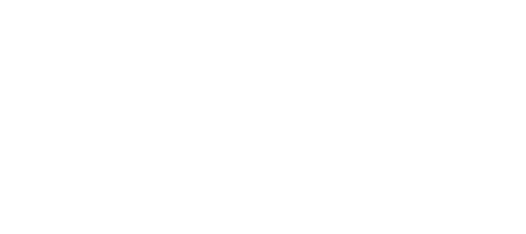Robert Nikic