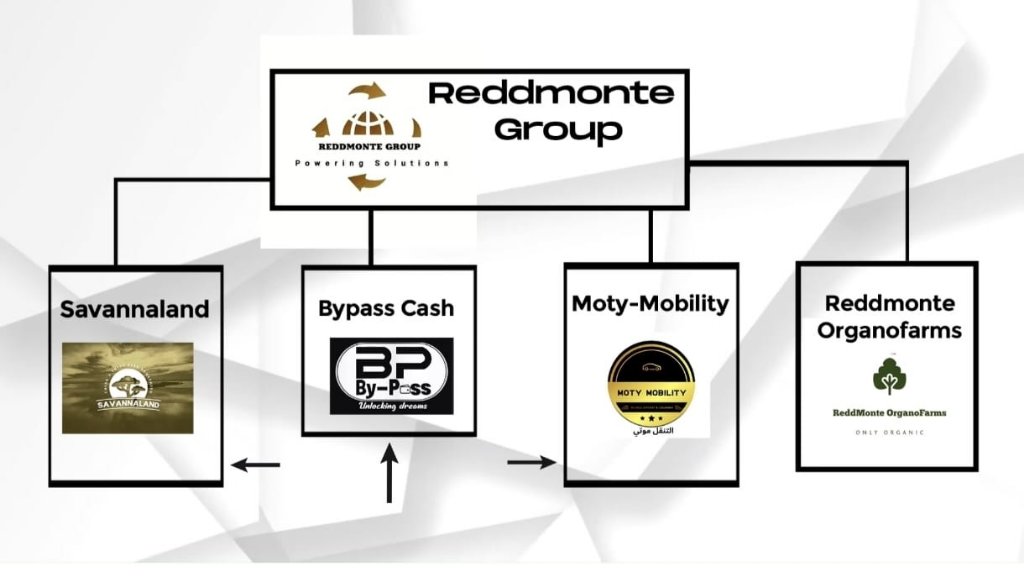 Reddmonte Group Ecosystem Flow