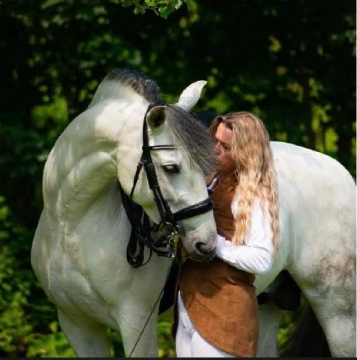 Natural Horsemanship