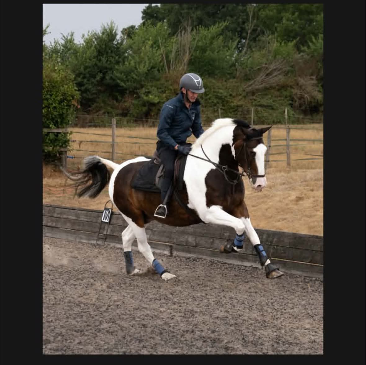 Rider on a pinto horse in mid-stride across an outdoor training arena