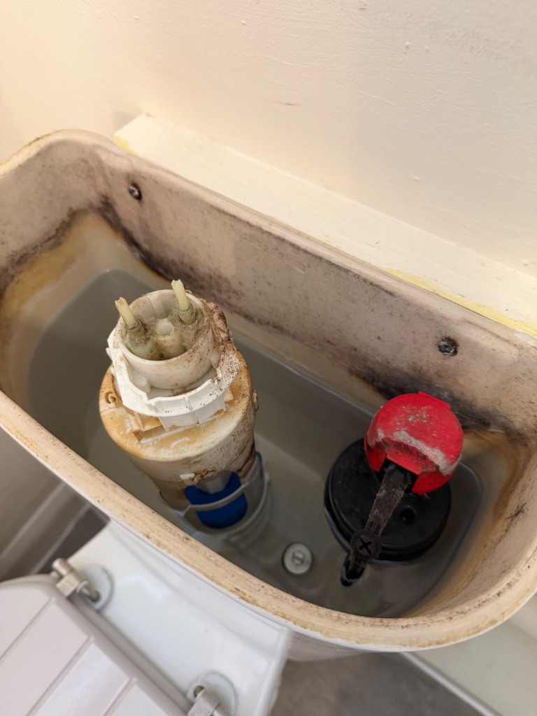 Toilet Flush Mechanism Upgrade — before