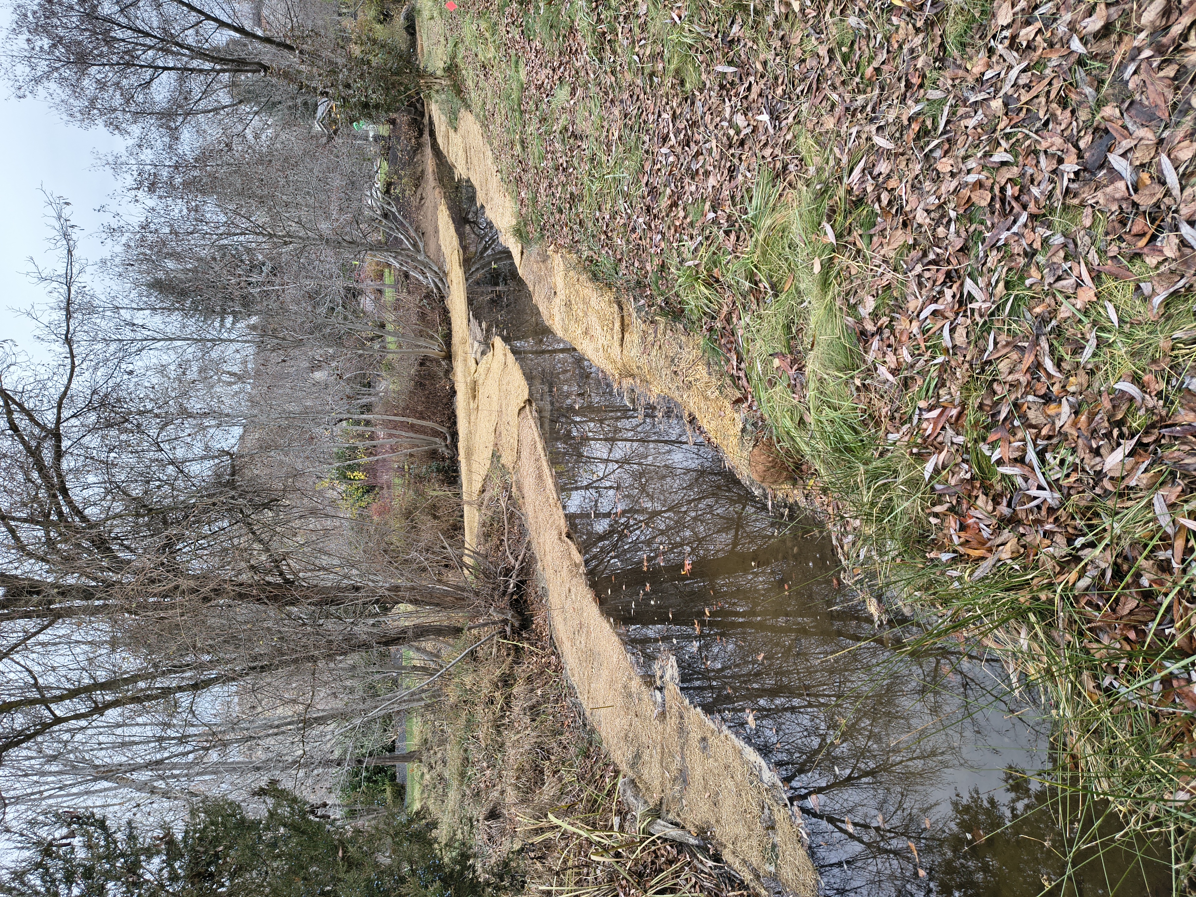 Jute erosion control matting lining a creek bank